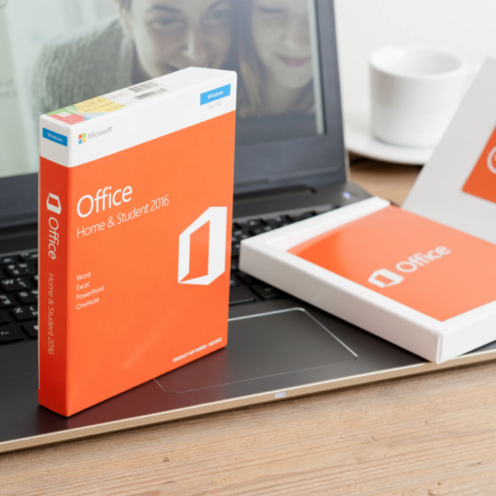 programmnoe-obespechenie